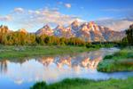 View gallery of Tom Gubala